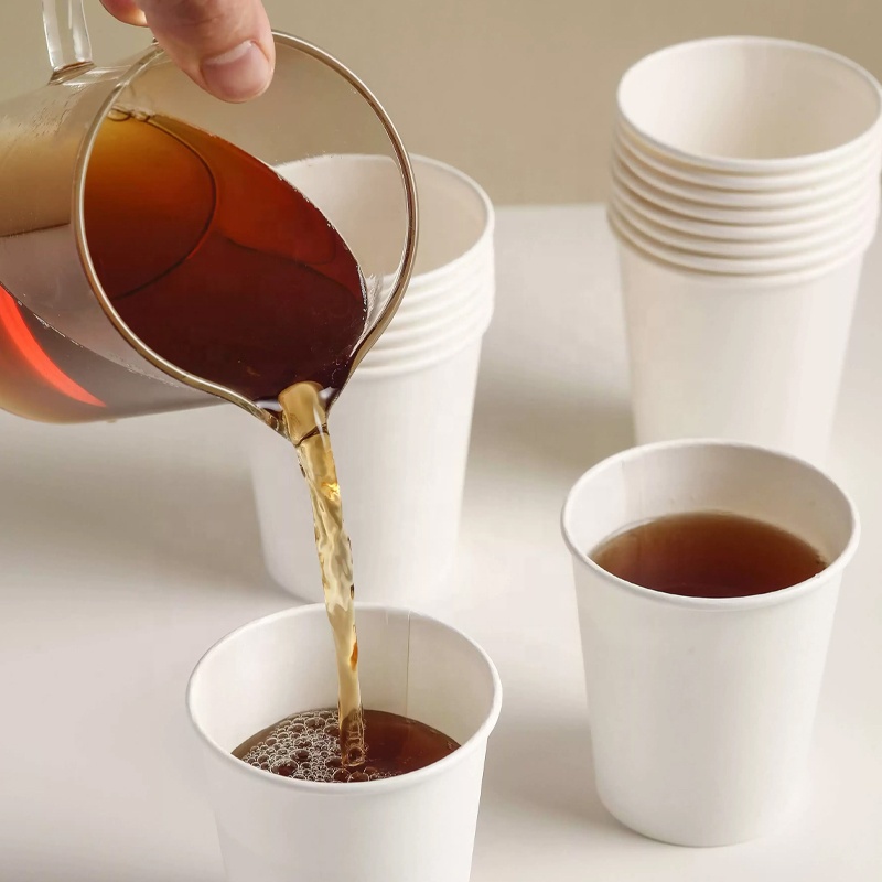 Custom Printed 100% Compostable Eco-Friendly Single Wall Craft Paper Cups Leak Proof Lids 12oz PE Biodegradable Coffee Cups