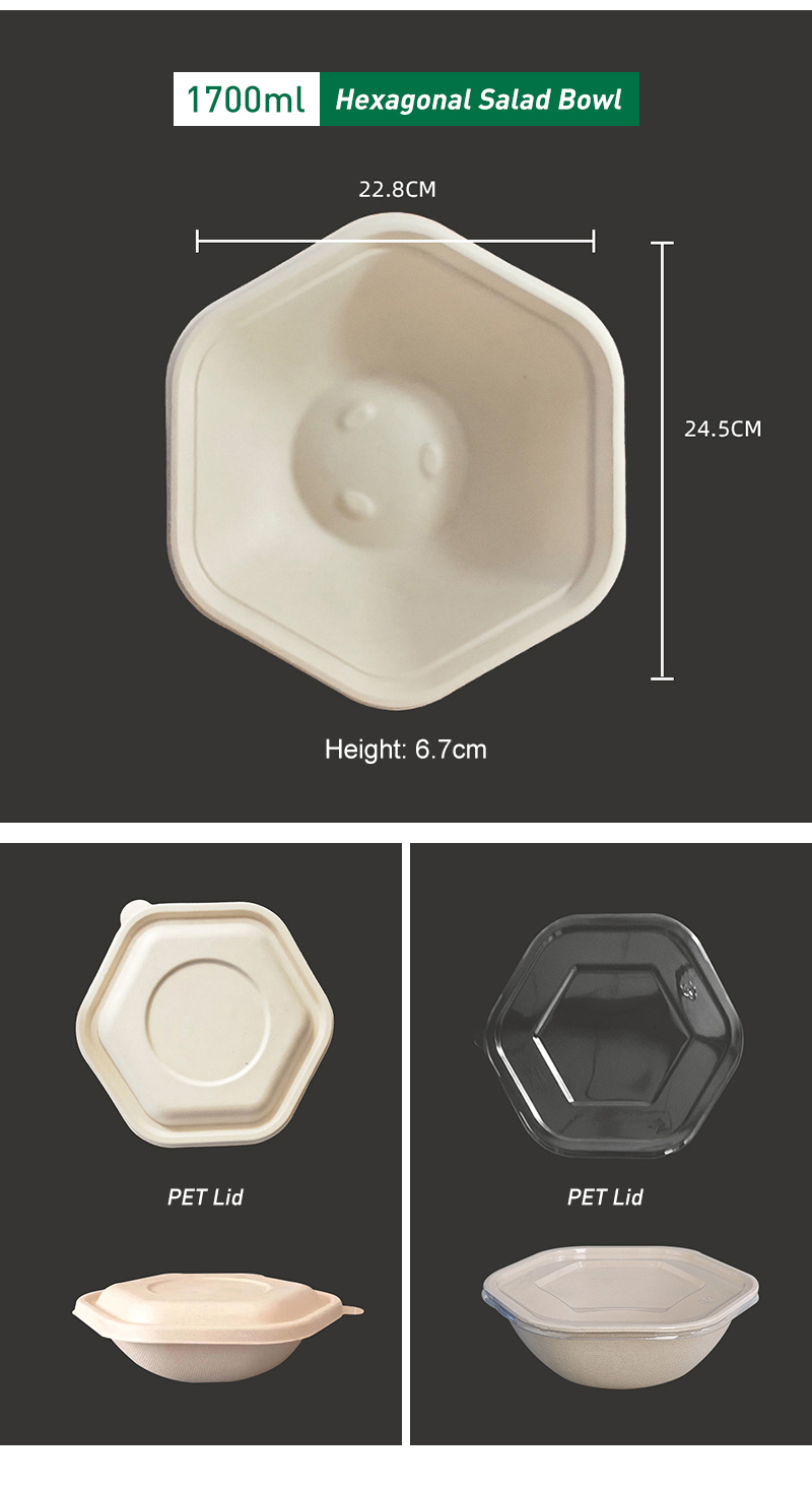 Disposable Environmentally Friendly Sugarcane Paper Biodegradable Lunch Box Salad Bowl with Embossing 90-Day Degradation