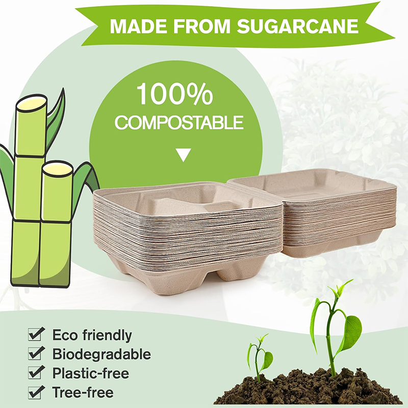 Eco-friendly Disposable Clamshell to Go Container Sugarcane Bagasse 8x8.5 Inch Biodegradable Sugarcane Clamshell Food Containers