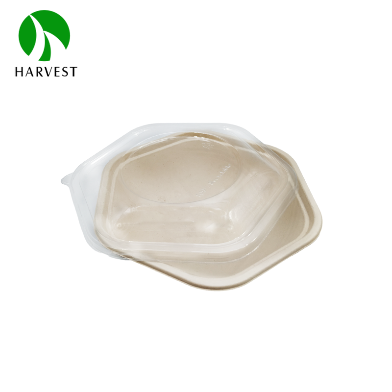 Disposable Bagasse Zero Waste Takeaway Salad Sugarcane Hexagon Bowl Plant-Based Gluten Free Food Containers