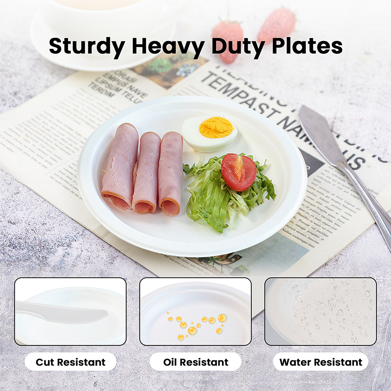 Free Sample 9 Inch Eco-Friendly Sugarcane Bagasse Biodegradable Disposable Waterproof Microwave Safe LFGB Certified Contemporary