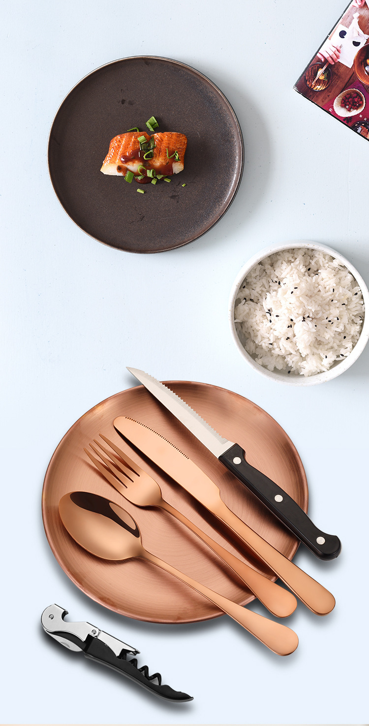 Stainless Steel Plates Dinnerware
