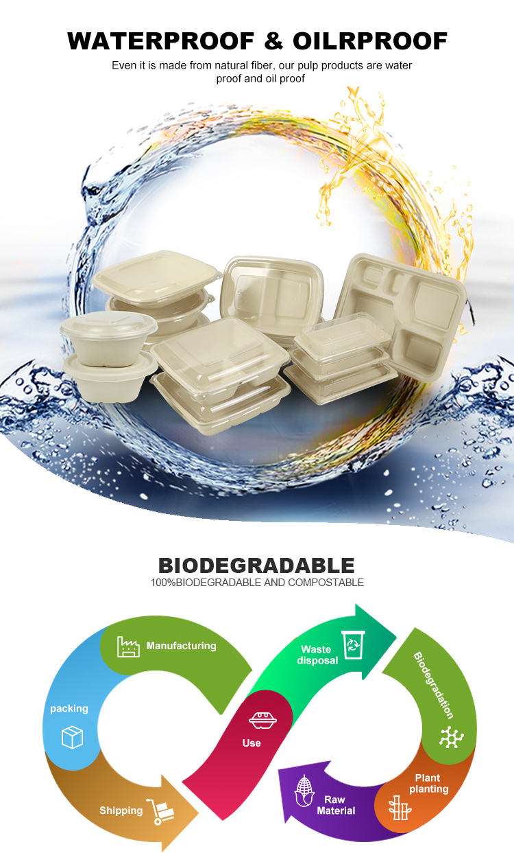 Plant-Based Gluten Free Square 24 oz Disposable Single Use Take Away Eco-Friendly Pulp Biodegradable Compostable Salad Bowl