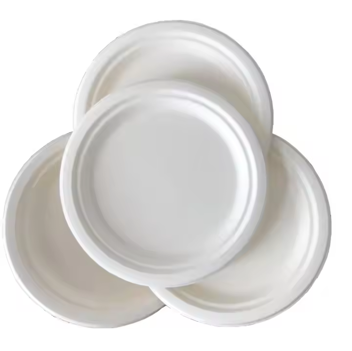 Biodegradable Bagasse Plates 10 Inch Disposable Sugarcane Dish For Zero Waste Parties Sustainable Catering