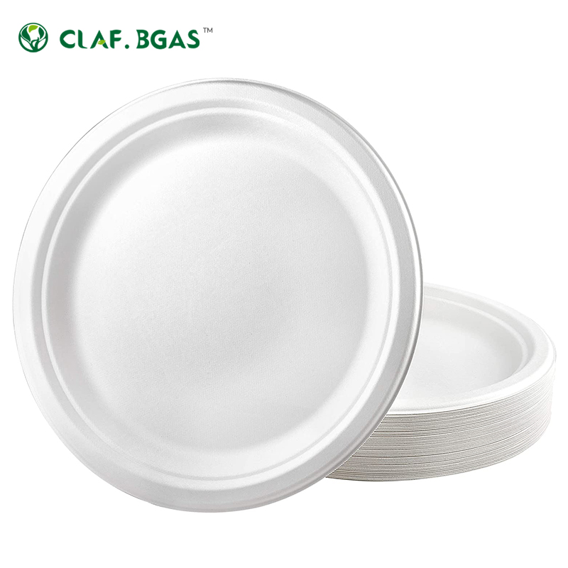 Eco-friendly Degradable Biodegradable Compostable 9 Inch Dinner Party Sugar Cane Pulp Sugarcane Bagasse Disposable Paper Plate