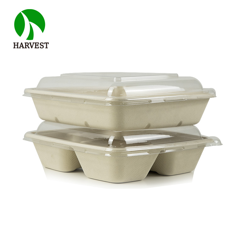 Eco Friendly Food Packaging Square Bagasse Takeaway Food Containers Sustainable Biodegradable Plates