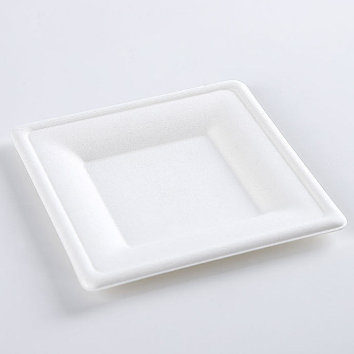 8 Inch Square Natural Sugarcane Bagasse Plates Compostable Disposable Bagasse Paper Plates Heavy Duty Eco Friendly Dinner Plates