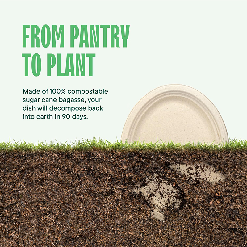 100% Compostable Heavy Duty Disposable Dinner Plates Eco-Friendly Biodegradable Sugarcane Bagasse Oval Paper Plates