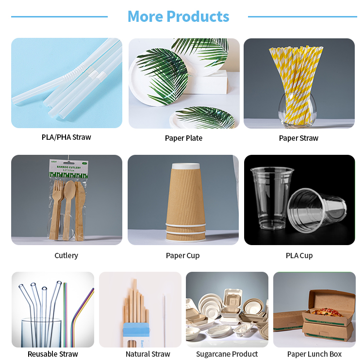 Recommended eco friendly products overview