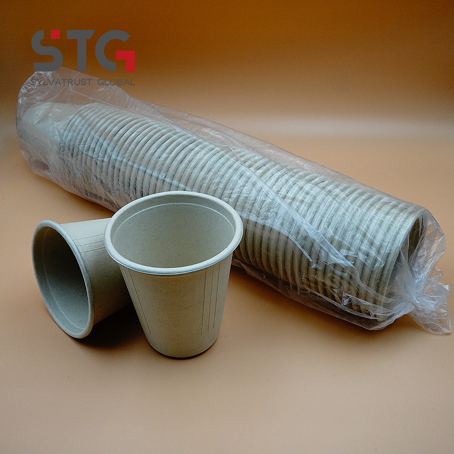 12oz in Stock Compostable Bagasse Cup Eco Friendly Disposable Pulp Cup for Catering Company Outdoor Party