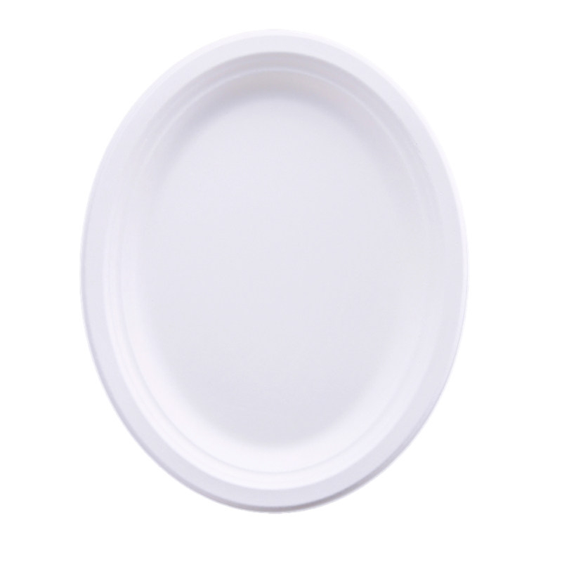 Bagasse Plate Showcase 5