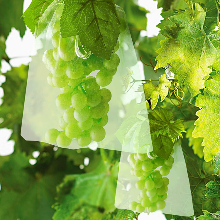 Reusable Net Grocery Guava Fruit Protection Bag/ Dry Fruits Packaging Bags/ Jute Fruit Bag For Anti Insect Bird Fly