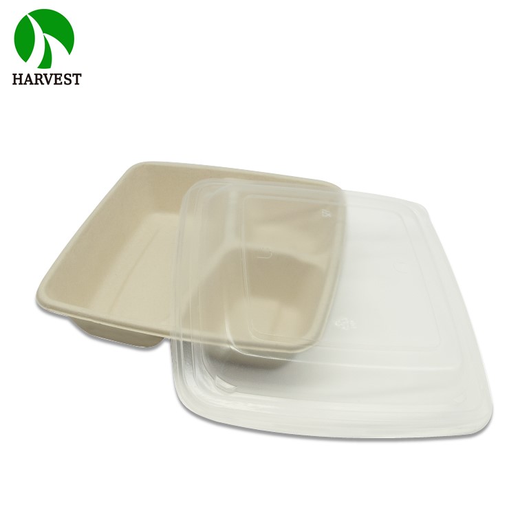 Eco Friendly Food Packaging Square Bagasse Takeaway Food Containers Sustainable Biodegradable Plates