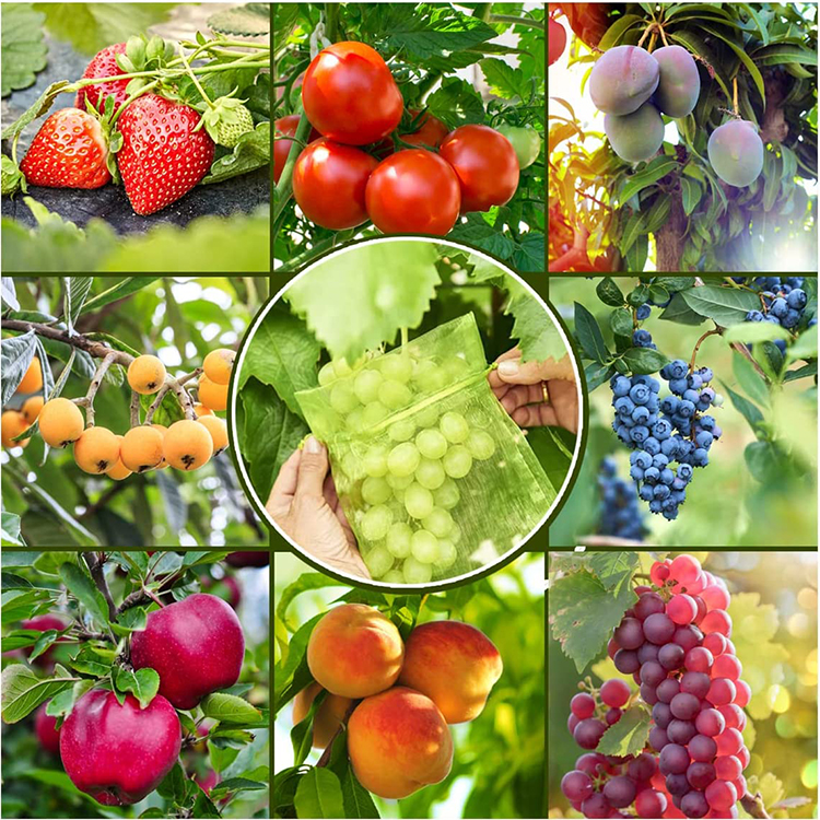 Reusable Net Grocery Guava Fruit Protection Bag/ Dry Fruits Packaging Bags/ Jute Fruit Bag For Anti Insect Bird Fly
