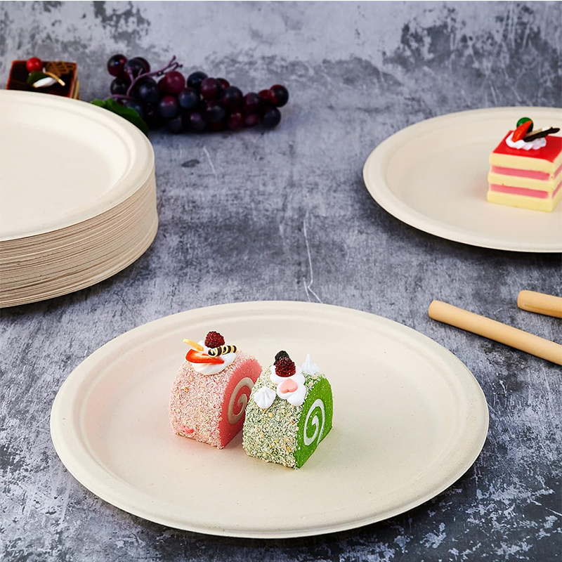 Bagasse Natural Biodegradable Eco-Friendly Sugarcane Paper Plates 10 Inch 100% Compostable Heavy-Duty Disposable Paper Plates