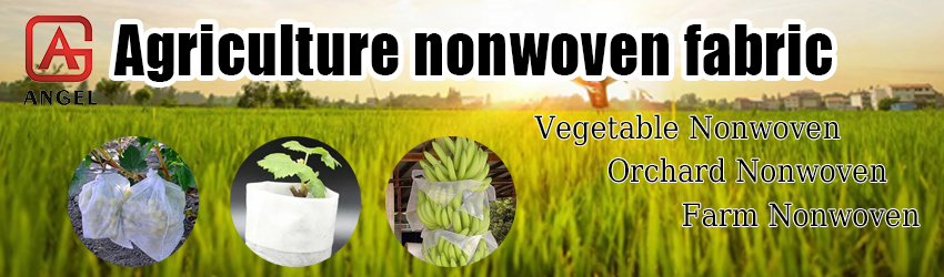 Product Banner