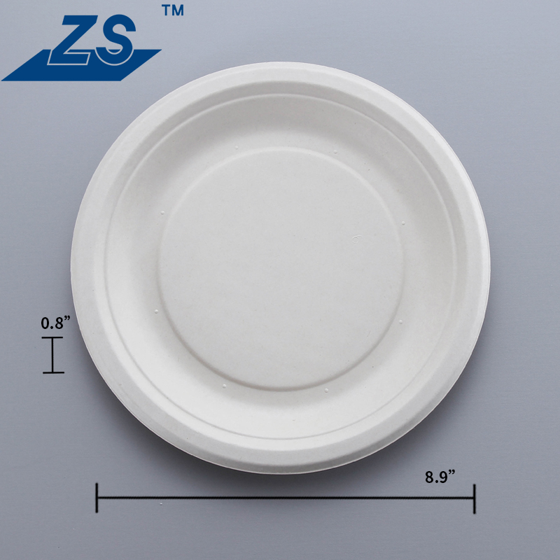 Eco-Friendly 9 Inch Disposable Plate Bagasse Food Round Plate Takeaway Biodegradable Sugarcane Plate