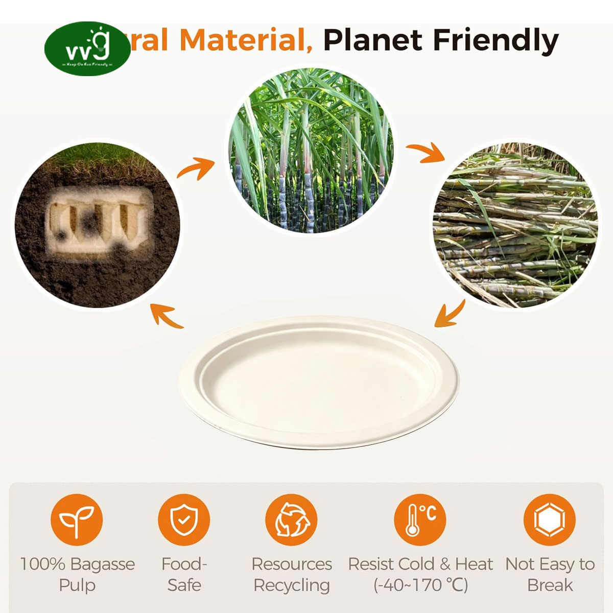 VVG Eco Disposable Oval Sugarcane Bagasse Plates Biodegradable Compostable Paper Plates for BBQ Camping Party Commercial Use