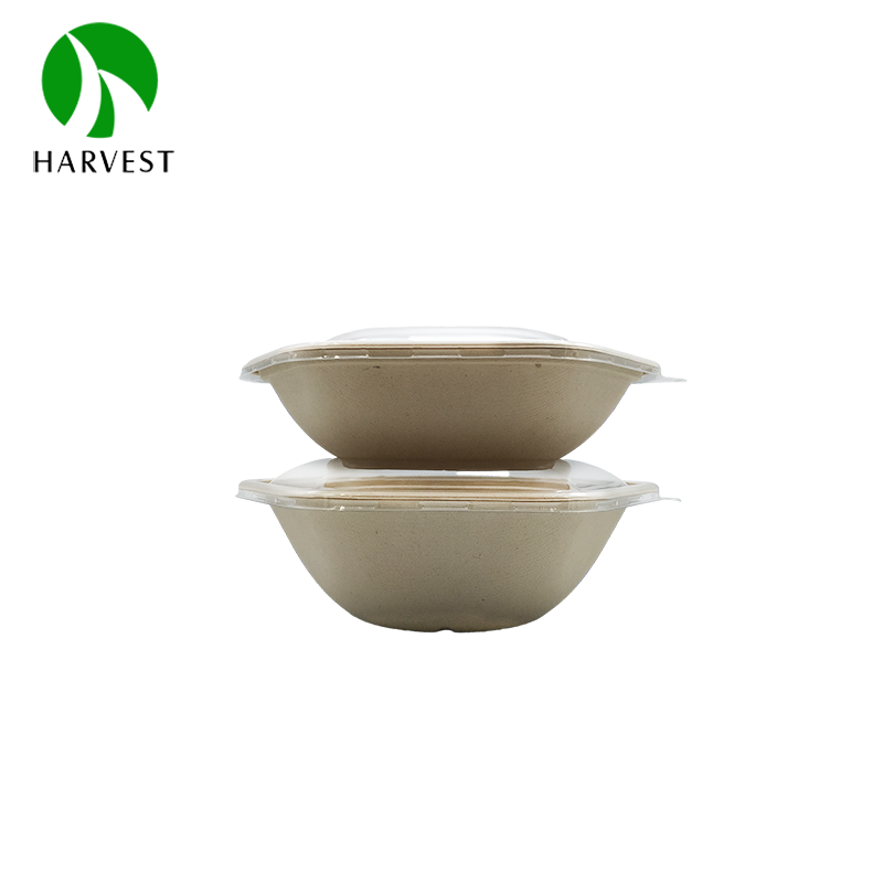 Disposable Bagasse Zero Waste Takeaway Salad Sugarcane Hexagon Bowl Plant-Based Gluten Free Food Containers