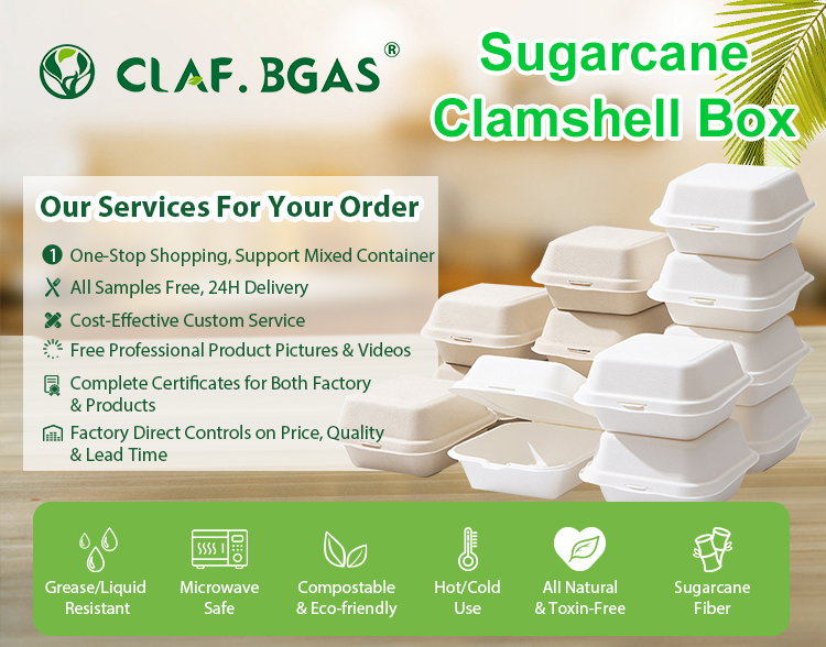 Natural 9-Inch Bagasse Round Plate Compostable Sugarcane Fiber Disposable Plate for Parties