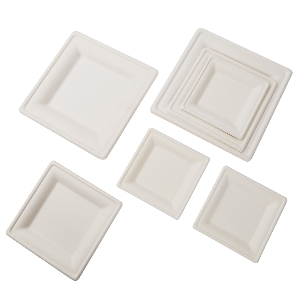 XS-FP10 10 Inch Square Plate Disposable Sugarcane Plates Eco-friendly Bagasse Degradable Plate