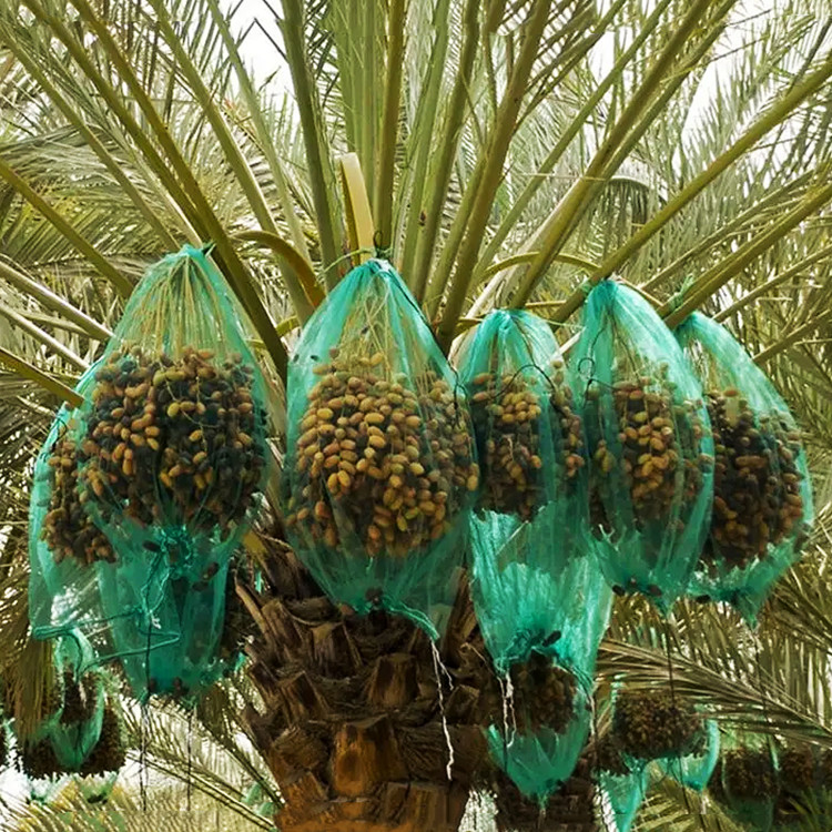 Date Palm Tree Mesh Bag Specification