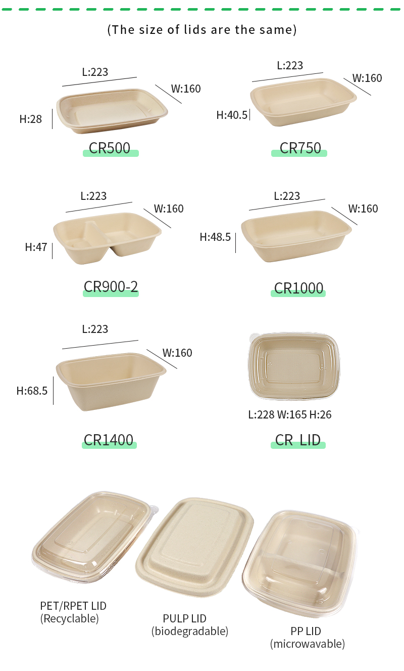 Disposable Container Details 3