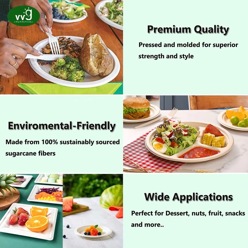 VVG Eco Disposable Oval Sugarcane Bagasse Plates Biodegradable Compostable Paper Plates for BBQ Camping Party Commercial Use