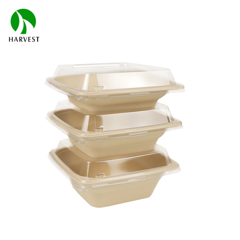Biodegradable Disposable Food Packaging No Added Pfas Container Bagasse Sugarcane Food Container with No Added PFAS
