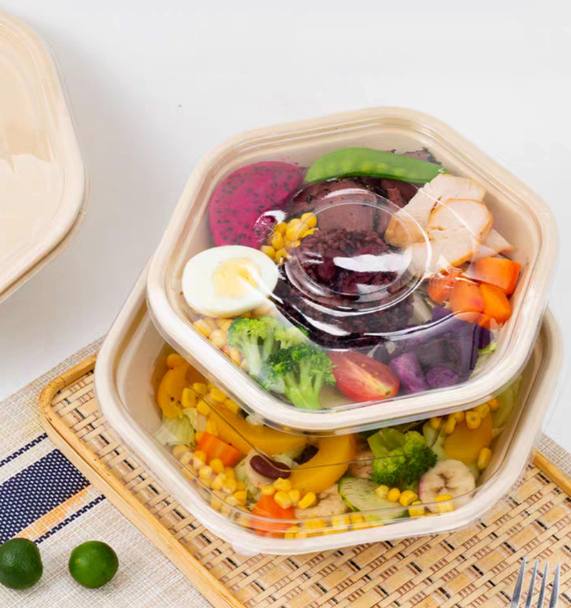 Disposable Environmentally Friendly Sugarcane Paper Biodegradable Lunch Box Salad Bowl with Embossing 90-Day Degradation