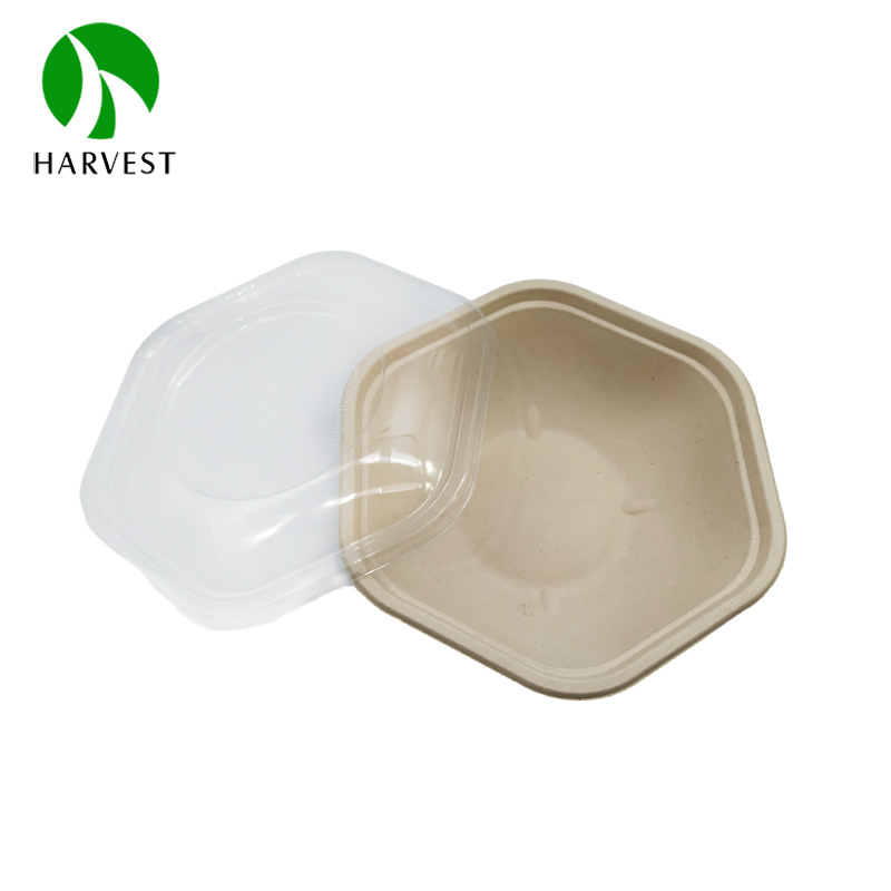 Disposable Bagasse Zero Waste Takeaway Salad Sugarcane Hexagon Bowl Plant-Based Gluten Free Food Containers