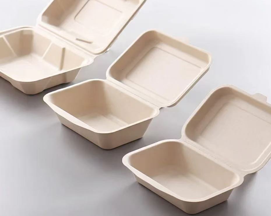Sugarcane lunch box style B