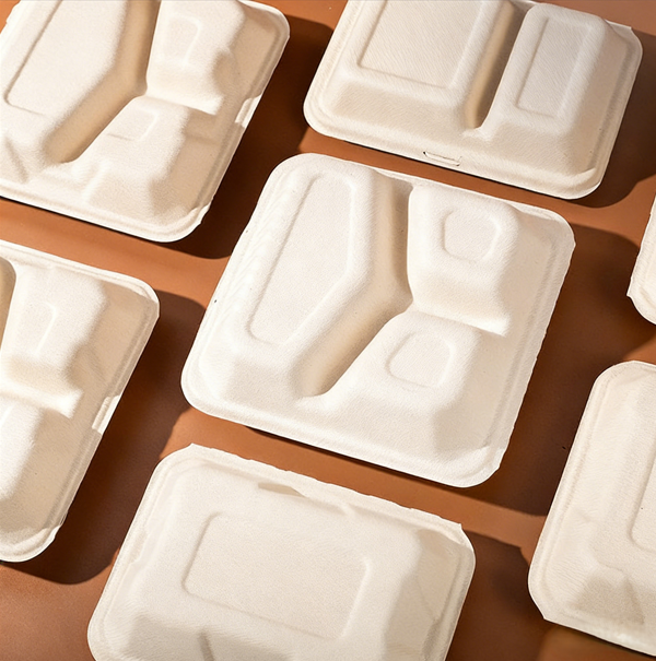 Packaging Eco Box Biodegradable Food Packaging Containers with Lids