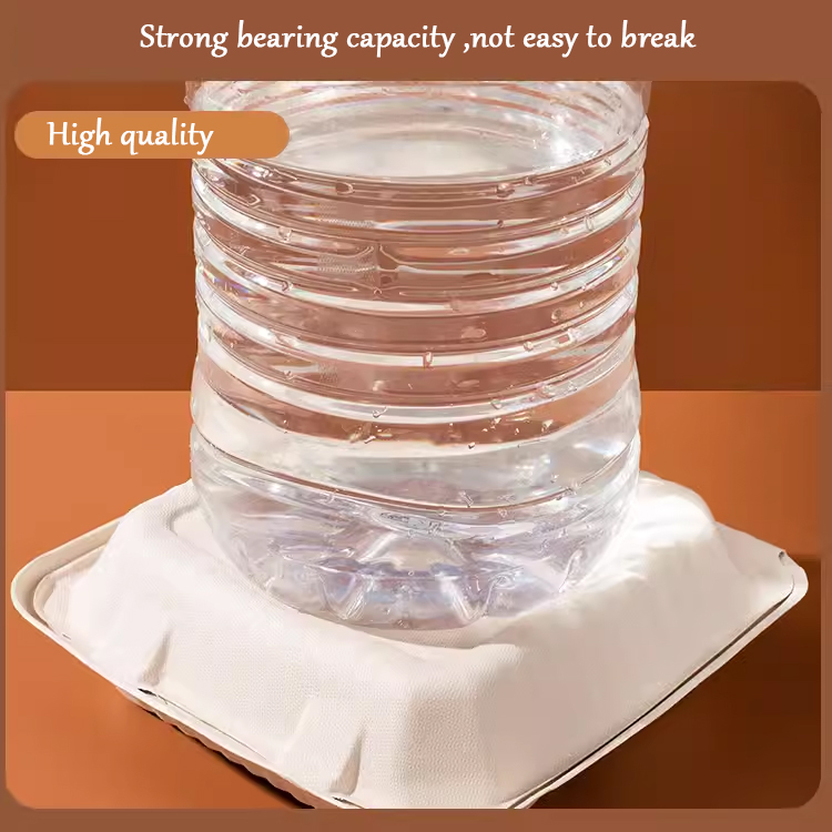 Clamshell Take Out Food Containers 100% Compostable Disposable to Go 9X6 Inch Sugarcane Bagasse Lunch Box
