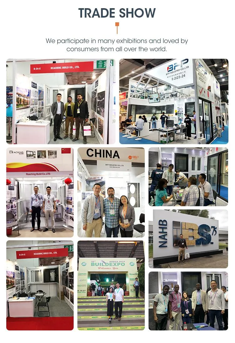 Participação em Exposições