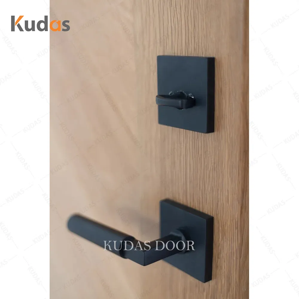 Design Personalizado Porta de Entrada Externa de Segurança em Madeira Sólida de Alumínio para Residências e Vilas