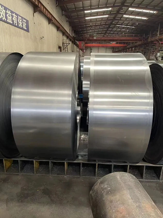 Durable Cold Rolled Steel Coil Sheet High Strength and Corrosion Resistant for Appliance Panels