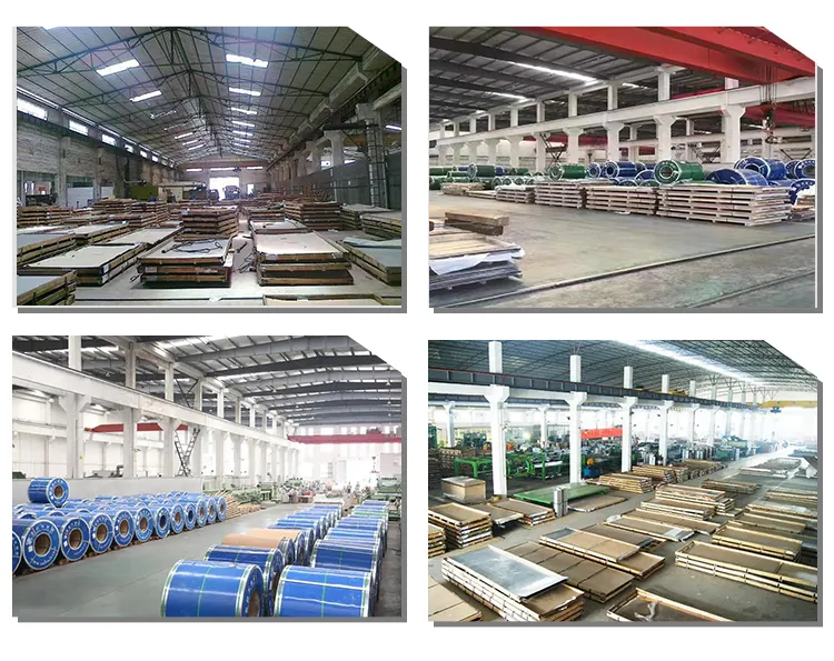 Company Profile