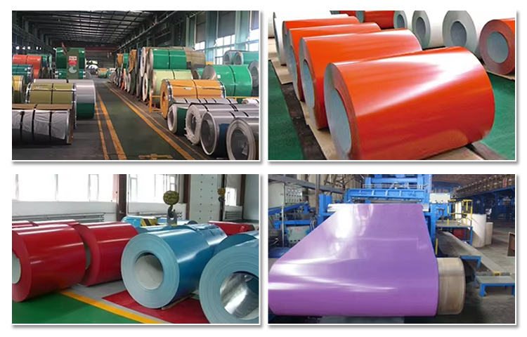 Galvanized Color Coated Coil