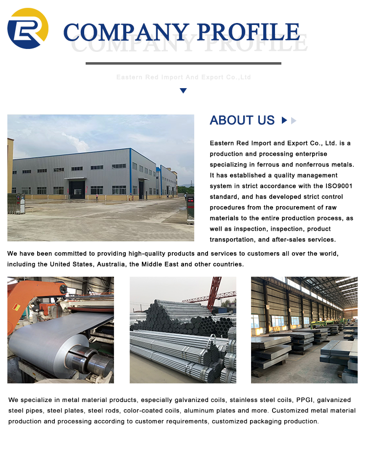 Company Profile Details 1