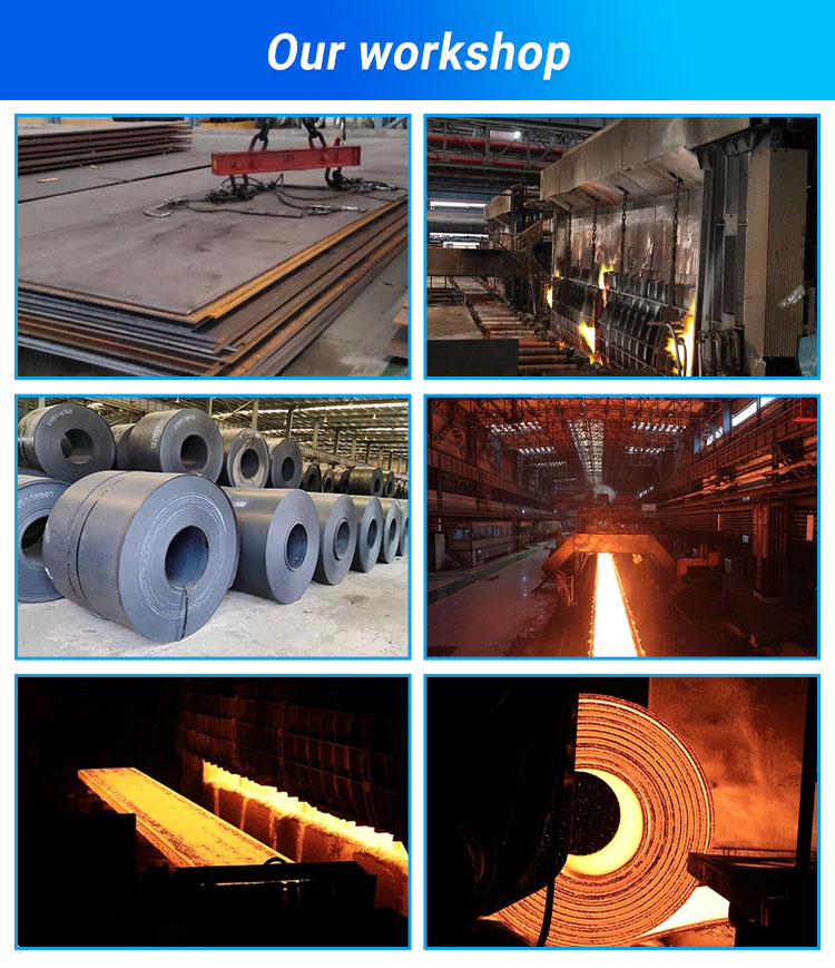 MS Hot Rolled Steel Coil