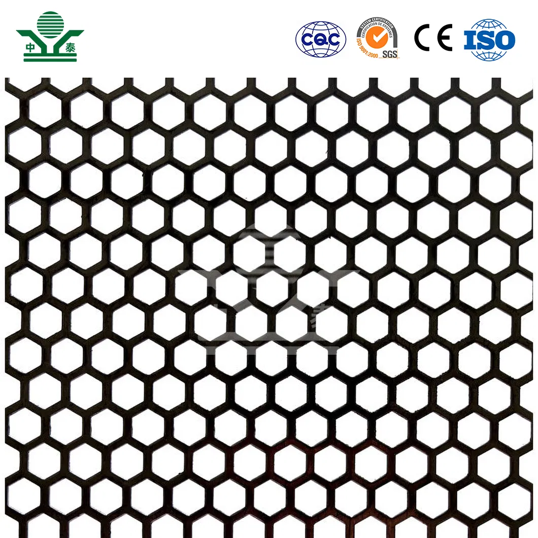 Perforated Metal Sheet Detail 10