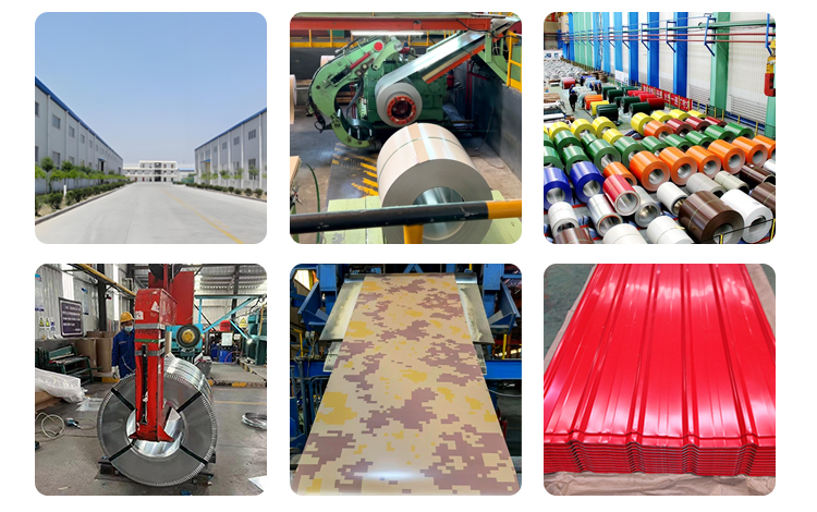 Prepainted Galvanized Steel Sheet Coil 12