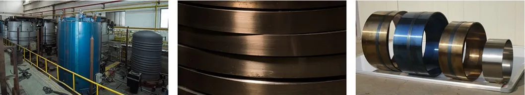 Blue Color Electrical Steel Sheets for Automobile