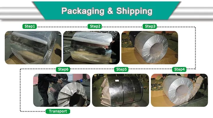 Zinc Coated Cold Rolled Electrical Dx51d Galvanized Steel Metal Plain Sheet 0.3mm Thick Price
