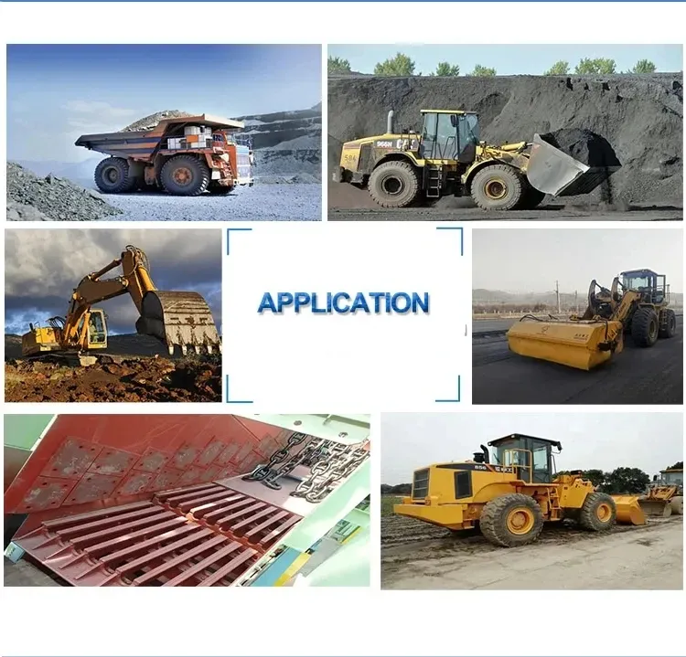 Application