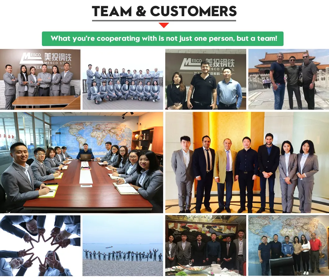 Team and Partners