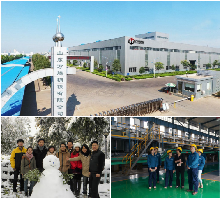 Company Profile
