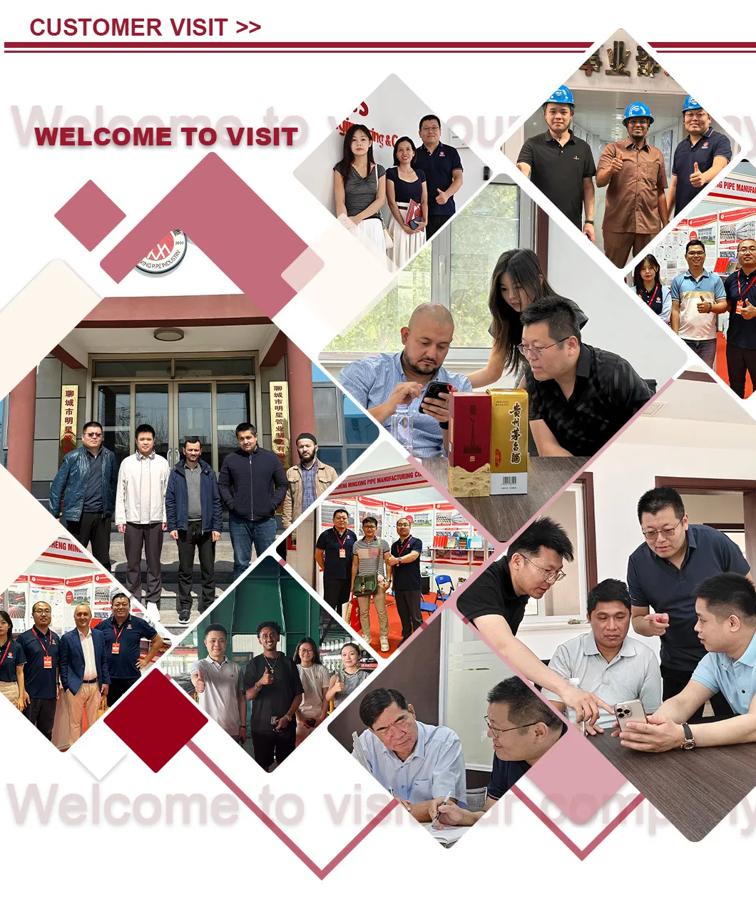 Customer Visit and Factory Inspection