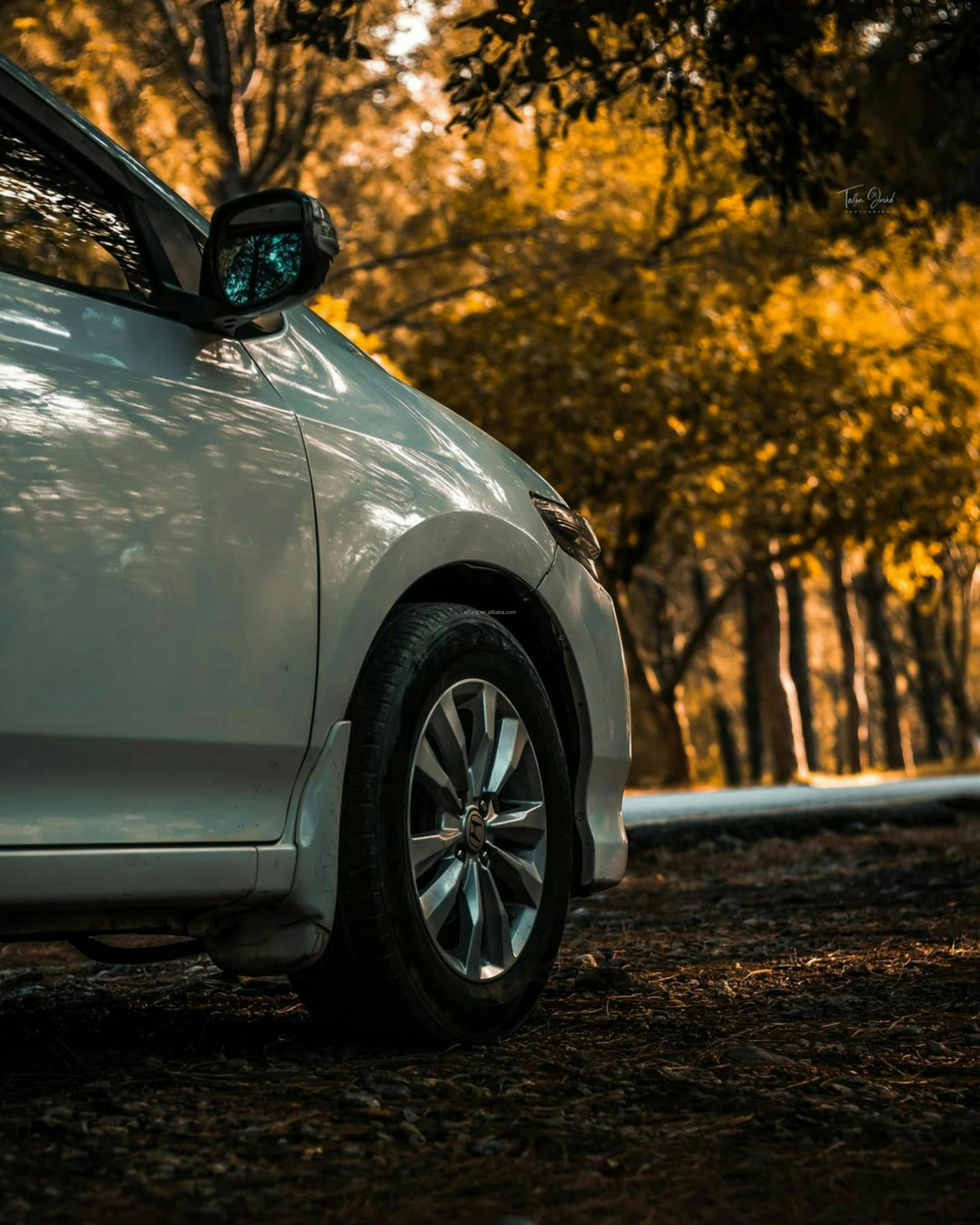 Automobile Manufacturing